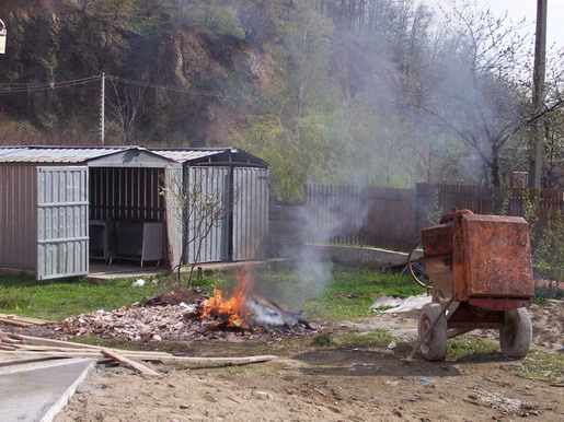 rost355.jpg